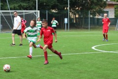 Bosto-Bodio Pulcini a Buguggiate 06/2022