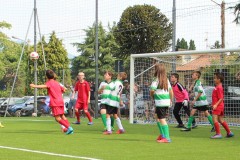 Pulcini_Bodio_Bosto_2022_Buguggiate-11