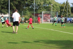 Pulcini_Bodio_Bosto_2022_Buguggiate-18