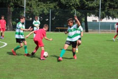 Pulcini_Bodio_Bosto_2022_Buguggiate-22