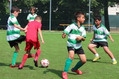 Pulcini_Bodio_Bosto_2022_Buguggiate-23