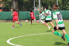 Pulcini_Bodio_Bosto_2022_Buguggiate-25