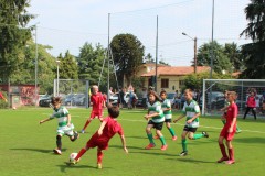 Pulcini_Bodio_Bosto_2022_Buguggiate-26