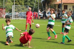 Pulcini_Bodio_Bosto_2022_Buguggiate-27