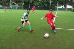 Pulcini_Bodio_Bosto_2022_Buguggiate-6