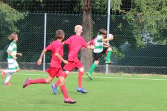 Pulcini_Bodio_Bosto_2022_Buguggiate-8