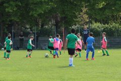 Allenamenti Bodio a Parma 69