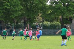 Allenamenti Bodio a Parma 70