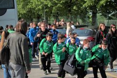 Arrivo del Bodio a Parma_2