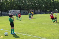 Allenamenti Bodio a Parma 1