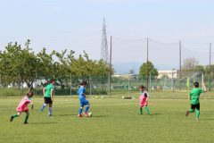 Allenamenti Bodio a Parma 11