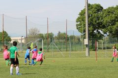 Allenamenti Bodio a Parma 13