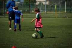 Allenamenti Bodio a Parma 16