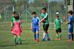 Allenamenti Bodio a Parma 17