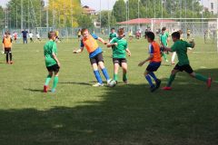 Allenamenti Bodio a Parma 30