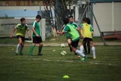 Allenamenti Bodio a Parma 44