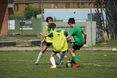 Allenamenti Bodio a Parma 45