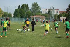 Allenamenti Bodio a Parma 47