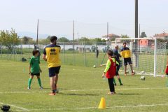 Allenamenti Bodio a Parma 49