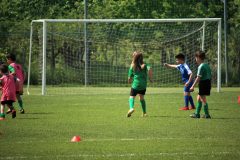 Allenamenti Bodio a Parma 50