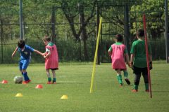 Allenamenti Bodio a Parma 52