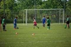 Allenamenti Bodio a Parma 53