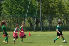 Allenamenti Bodio a Parma 54