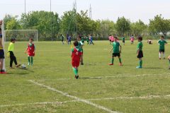 Allenamenti Bodio a Parma 59